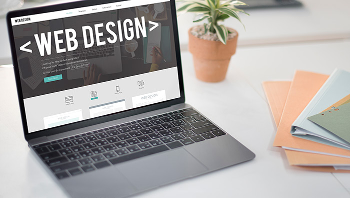 TÉCNICO EN DISEÑO Y DESARROLLO WEB